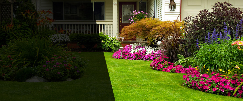 Charleston Landscapers